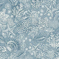 High Tide Beachcomber Reef Mid Blue