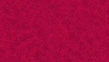 Spraytime Raspberry