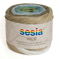 Iride 4981 Oasi