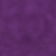 Shadow Blush Purple