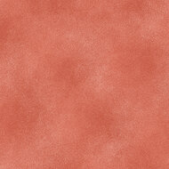 Shadow Blush Coral
