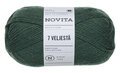 7 Veljesta 375 Bergenia