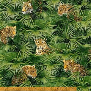 Jungle Minnis  Jungle Minnis