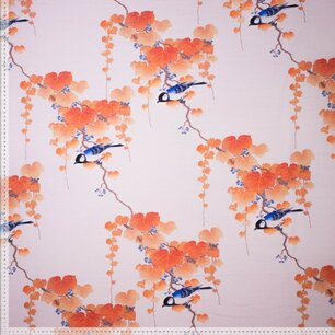 Jogging Moos Jogging Moos