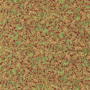 Fusions Regent, Crimson Fusions Regent, Crimson