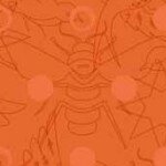 Sun Prints, Carrot Sun Prints, Carrot