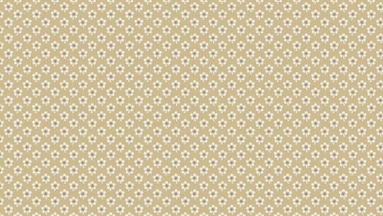 Blue Sky, Daisy Twilight