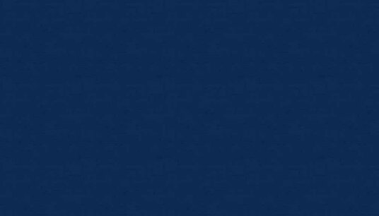 Linen Texture Navy