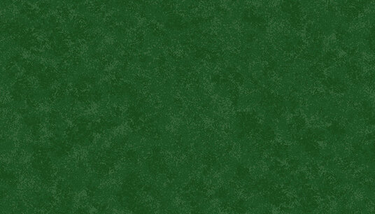 Spraytime Christmas Green