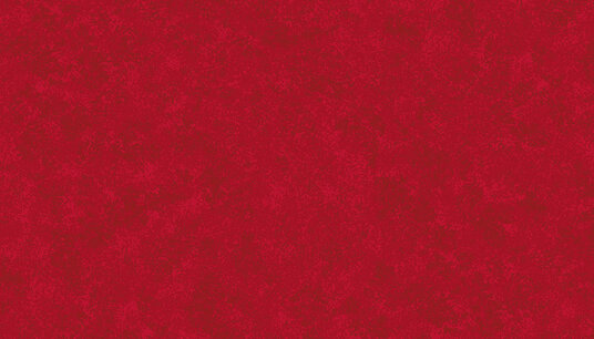 Spraytime Christmas Red