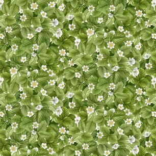 Berry Sweet Packed Strawberry Leaves Green Berry Sweet Packed Strawberry Leaves Green