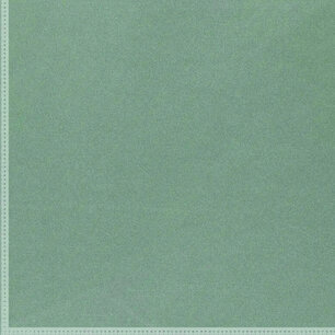 Satin brushed FM 33 Raven Satin brushed FM 33 Raven
