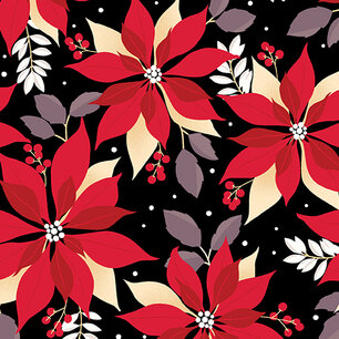 Poinsettia black Poinsettia black