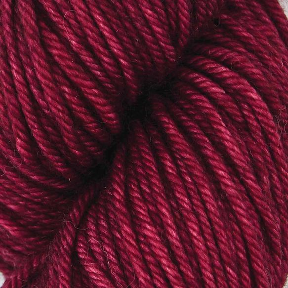 Bella solid SS4027 Dried Chiles