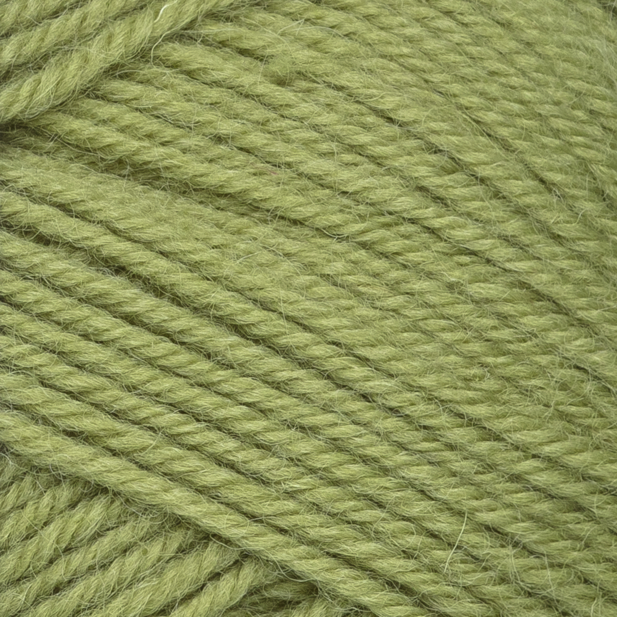 7 Veljesta 330 Artichoke
