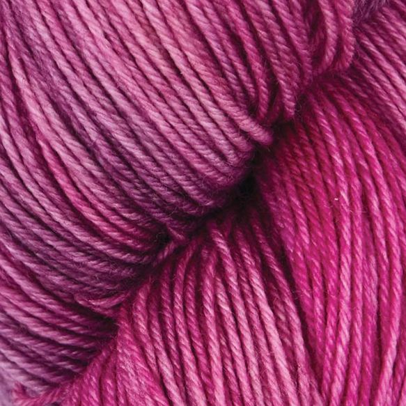 Terra variegated VR2020 Autumn Rose