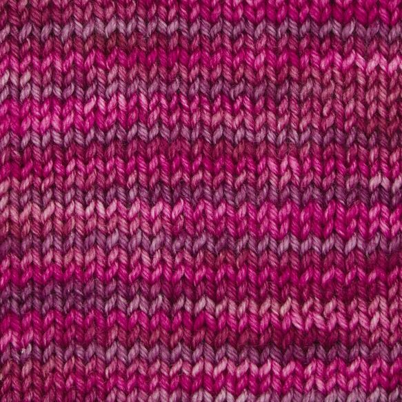 Terra variegated VR2020 Autumn Rose